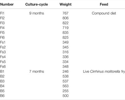 Comparative Analysis of the Gut Microbiota of Mandarin Fish (Siniperca chuatsi) Feeding on Compound Diets and Live Baits